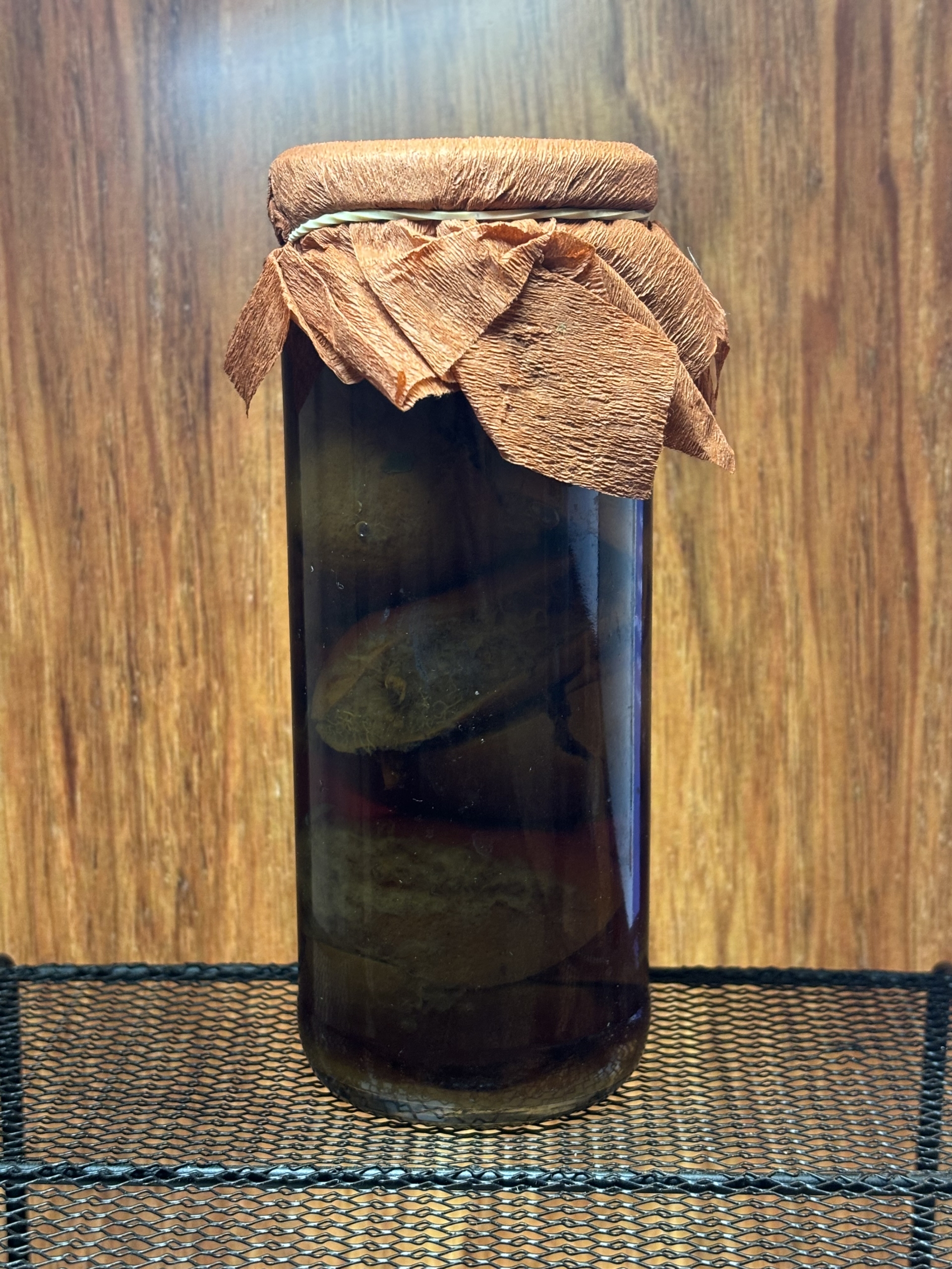 Mustard Chinotto