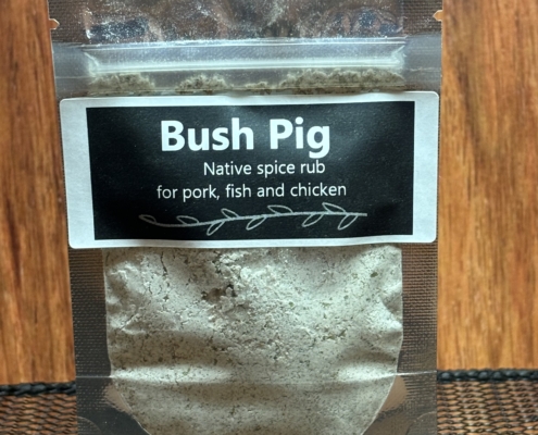 Bush Pig